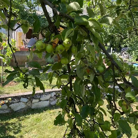 Holiday House In Nature Sarajevo
