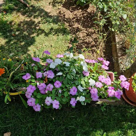 Holiday House In Nature Sarajevo Villa Sarajevo